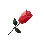 هدايا الشكر والامتنان هدايا الشكر والامتنان