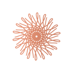 هدايا اكسسوارات نسائية