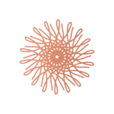 هدايا اكسسوارات نسائية