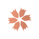 باقات ورود طبيعية