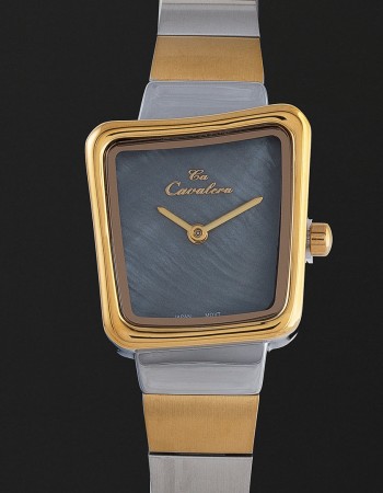 ساعة يد نسائية ستيل بلون ذهبي وفضي CL21SB ساعة يد نسائية ستيل بلون ذهبي وفضي CL21SB