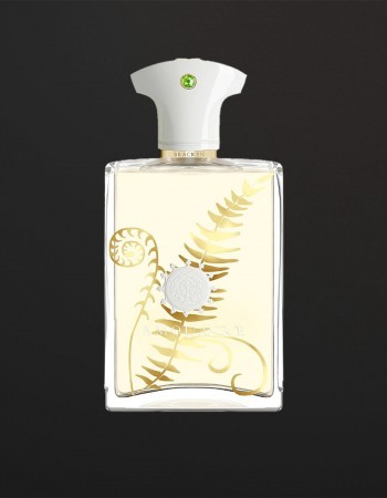 عطر أمواج براكن للرجال 100 مل عطر أمواج براكن للرجال 100 مل