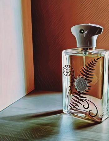 عطر أمواج براكن للرجال 100 مل عطر أمواج براكن للرجال 100 مل