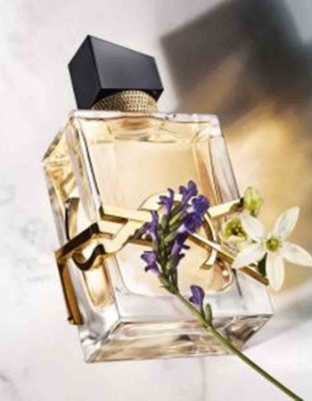 عطر ايف سان لوران ليبر للنساء 90 مل عطر ايف سان لوران ليبر للنساء 90 مل