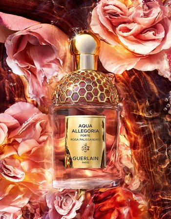 عطر أكوا أليجوريا روزا باليساندرو فورتي للجنسين 75 مل عطر أكوا أليجوريا روزا باليساندرو فورتي للجنسين 75 مل