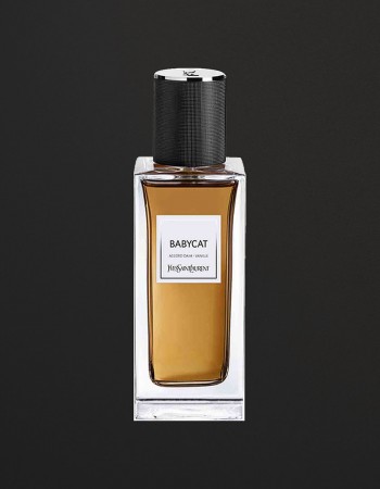 عطر ايف سان لوران بيبي كات لو فيستيير للنساء 125 مل عطر ايف سان لوران بيبي كات لو فيستيير للنساء 125 مل