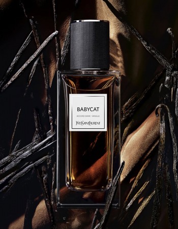 عطر ايف سان لوران بيبي كات لو فيستيير للنساء 125 مل عطر ايف سان لوران بيبي كات لو فيستيير للنساء 125 مل
