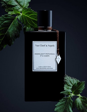عطر فان كليف مون لايت باتشولي للجنسين 75 مل عطر فان كليف مون لايت باتشولي للجنسين 75 مل