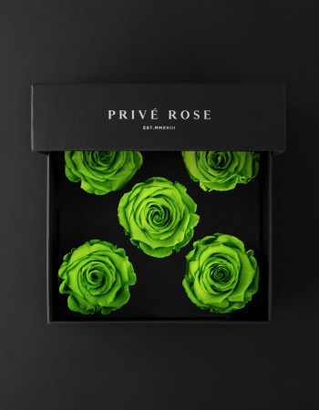 باقة ورد طبيعي دائم أخضر فاتح بريفي روز PR5-GRE5 باقة ورد طبيعي دائم أخضر فاتح بريفي روز PR5-GRE5