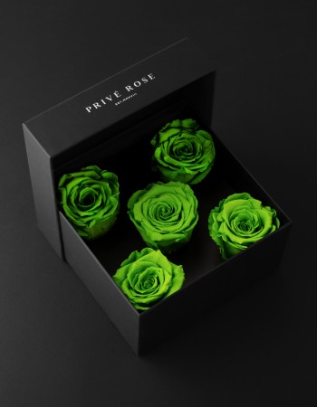 باقة ورد طبيعي دائم أخضر فاتح بريفي روز PR5-GRE5 باقة ورد طبيعي دائم أخضر فاتح بريفي روز PR5-GRE5