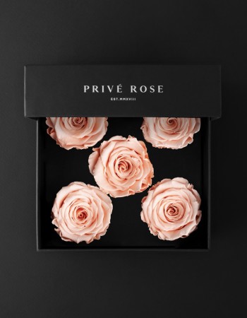 باقة ورد طبيعي دائم خوخي بريفي روز PR5-PEA1 باقة ورد طبيعي دائم خوخي بريفي روز PR5-PEA1