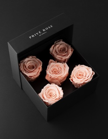 باقة ورد طبيعي دائم خوخي بريفي روز PR5-PEA1 باقة ورد طبيعي دائم خوخي بريفي روز PR5-PEA1