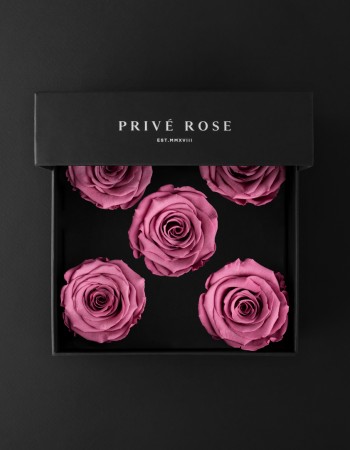 باقة ورد طبيعي دائم وردي بريفي روز PR5-VIO2 باقة ورد طبيعي دائم وردي بريفي روز PR5-VIO2