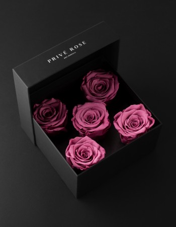 باقة ورد طبيعي دائم وردي بريفي روز PR5-VIO2 باقة ورد طبيعي دائم وردي بريفي روز PR5-VIO2