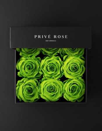 بوكس ورد طبيعي دائم أخضر فاتح بريفي روز PR9-GRE5 بوكس ورد طبيعي دائم أخضر فاتح بريفي روز PR9-GRE5