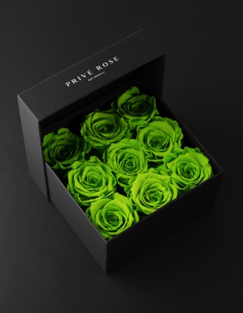 بوكس ورد طبيعي دائم أخضر فاتح بريفي روز PR9-GRE5 بوكس ورد طبيعي دائم أخضر فاتح بريفي روز PR9-GRE5