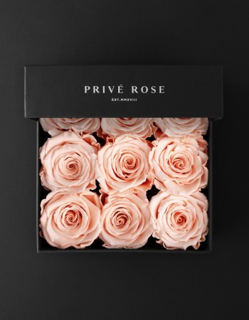 بوكس ورد طبيعي دائم خوخي بريفي روز PR9-PEA1 بوكس ورد طبيعي دائم خوخي بريفي روز PR9-PEA1