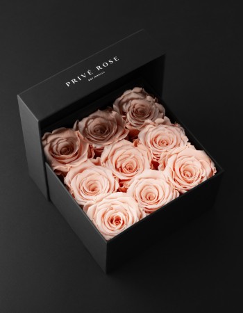 بوكس ورد طبيعي دائم خوخي بريفي روز PR9-PEA1 بوكس ورد طبيعي دائم خوخي بريفي روز PR9-PEA1