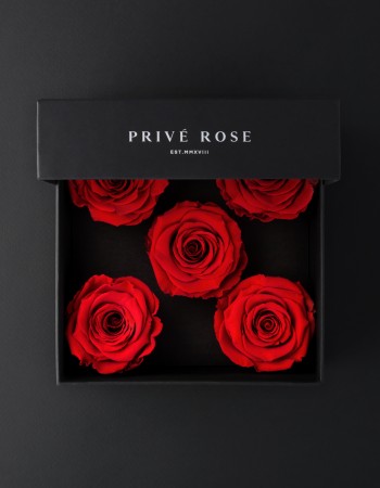 باقة ورد طبيعي دائم أحمر بريفي روز PRR28 باقة ورد طبيعي دائم أحمر بريفي روز PRR28