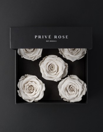 باقة ورد طبيعي دائم أبيض بريفي روز PRW27 باقة ورد طبيعي دائم أبيض بريفي روز PRW27