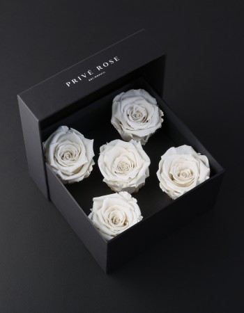باقة ورد طبيعي دائم أبيض بريفي روز PRW27 باقة ورد طبيعي دائم أبيض بريفي روز PRW27