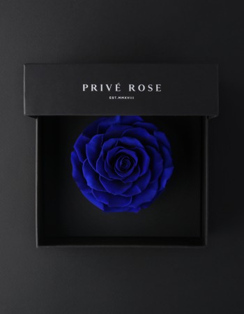 وردة طبيعية دائمة أزرق بريفي روز PRU13 وردة طبيعية دائمة أزرق بريفي روز PRU13