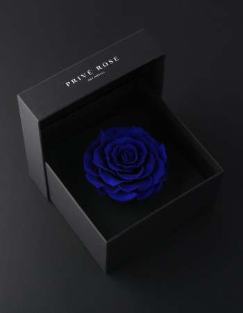 وردة طبيعية دائمة أزرق بريفي روز PRU13 وردة طبيعية دائمة أزرق بريفي روز PRU13