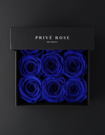 بوكس ورد طبيعي دائم أزرق بريفي روز PRU23 بوكس ورد طبيعي دائم أزرق بريفي روز PRU23