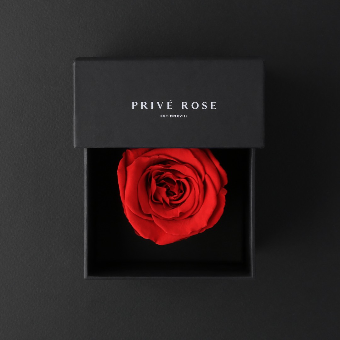 وردة طبيعية دائمة أحمر ميني بريفي روز PRR2 - Prive Rose