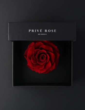 وردة طبيعية دائمة أحمر بريفي روز PRR12 وردة طبيعية دائمة أحمر بريفي روز PRR12