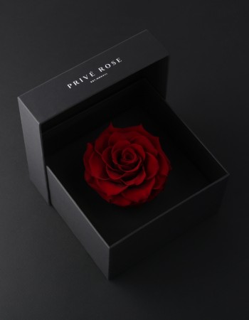 وردة طبيعية دائمة أحمر بريفي روز PRR12 وردة طبيعية دائمة أحمر بريفي روز PRR12