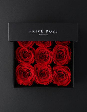 بوكس ورد طبيعي دائم أحمر بريفي روز PRR22 بوكس ورد طبيعي دائم أحمر بريفي روز PRR22