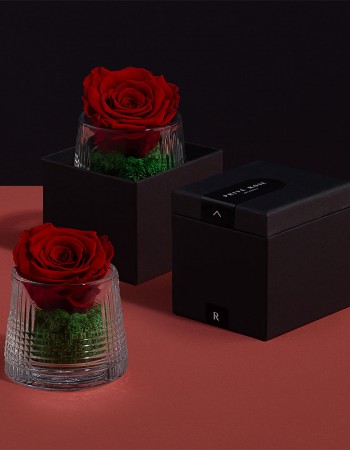 مزهرية ورد طبيعي دائم احمر مزهرية ورد طبيعي دائم احمر