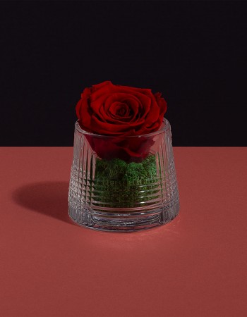 مزهرية ورد طبيعي دائم احمر مزهرية ورد طبيعي دائم احمر