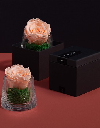 مزهرية ورد طبيعي دائم خوخي مزهرية ورد طبيعي دائم خوخي