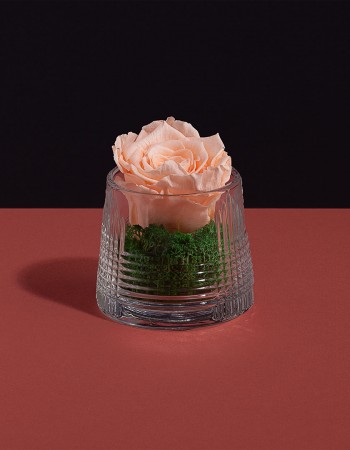 مزهرية ورد طبيعي دائم خوخي مزهرية ورد طبيعي دائم خوخي