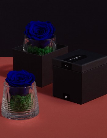 مزهرية ورد طبيعي دائم ازرق مزهرية ورد طبيعي دائم ازرق