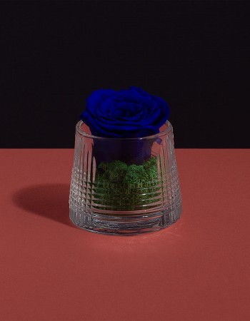 مزهرية ورد طبيعي دائم ازرق مزهرية ورد طبيعي دائم ازرق