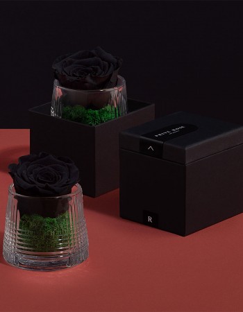 مزهرية ورد طبيعي دائم اسود مزهرية ورد طبيعي دائم اسود