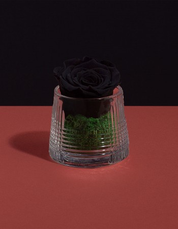 مزهرية ورد طبيعي دائم اسود مزهرية ورد طبيعي دائم اسود