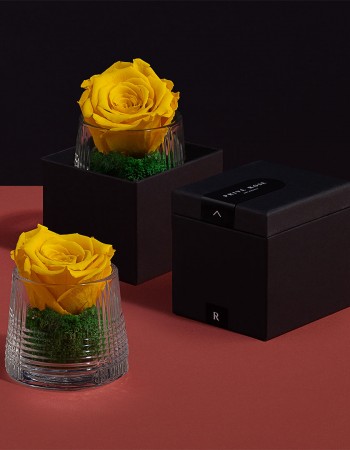 مزهرية ورد طبيعي دائم اصفر مزهرية ورد طبيعي دائم اصفر