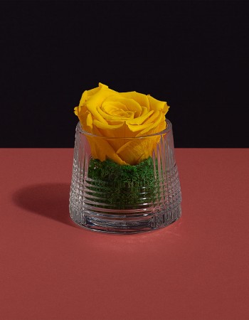 مزهرية ورد طبيعي دائم اصفر مزهرية ورد طبيعي دائم اصفر