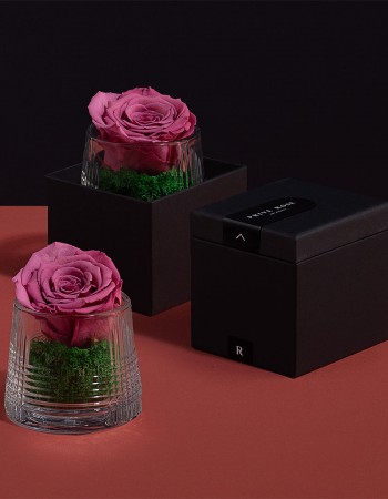 مزهرية ورد طبيعي دائم وردي مزهرية ورد طبيعي دائم وردي