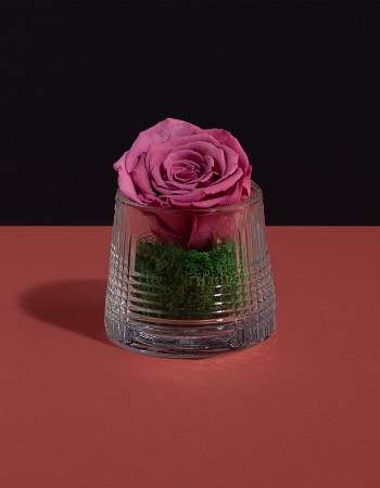 مزهرية ورد طبيعي دائم وردي مزهرية ورد طبيعي دائم وردي