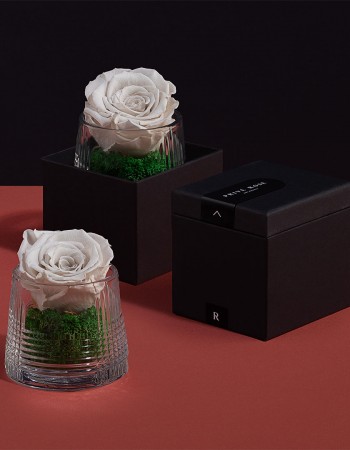 فازة ورد طبيعي دائم ابيض فازة ورد طبيعي دائم ابيض