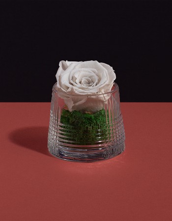 فازة ورد طبيعي دائم ابيض فازة ورد طبيعي دائم ابيض