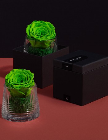 فازة ورد طبيعي دائم اخضر فازة ورد طبيعي دائم اخضر