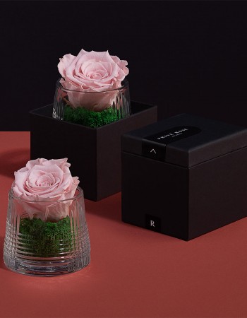 فازة ورد طبيعي دائم زهري فازة ورد طبيعي دائم زهري