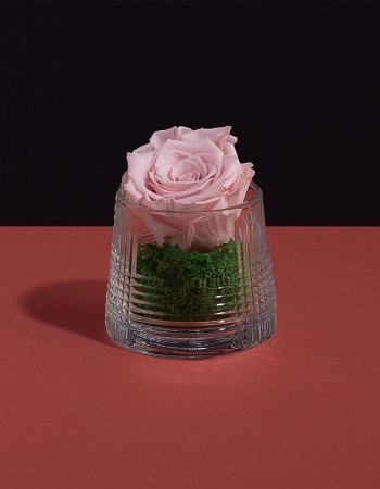 فازة ورد طبيعي دائم زهري فازة ورد طبيعي دائم زهري