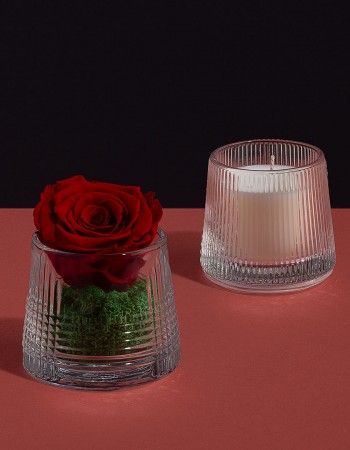 ورد طبيعي احمر مع شمعة معطرة ورد طبيعي احمر مع شمعة معطرة